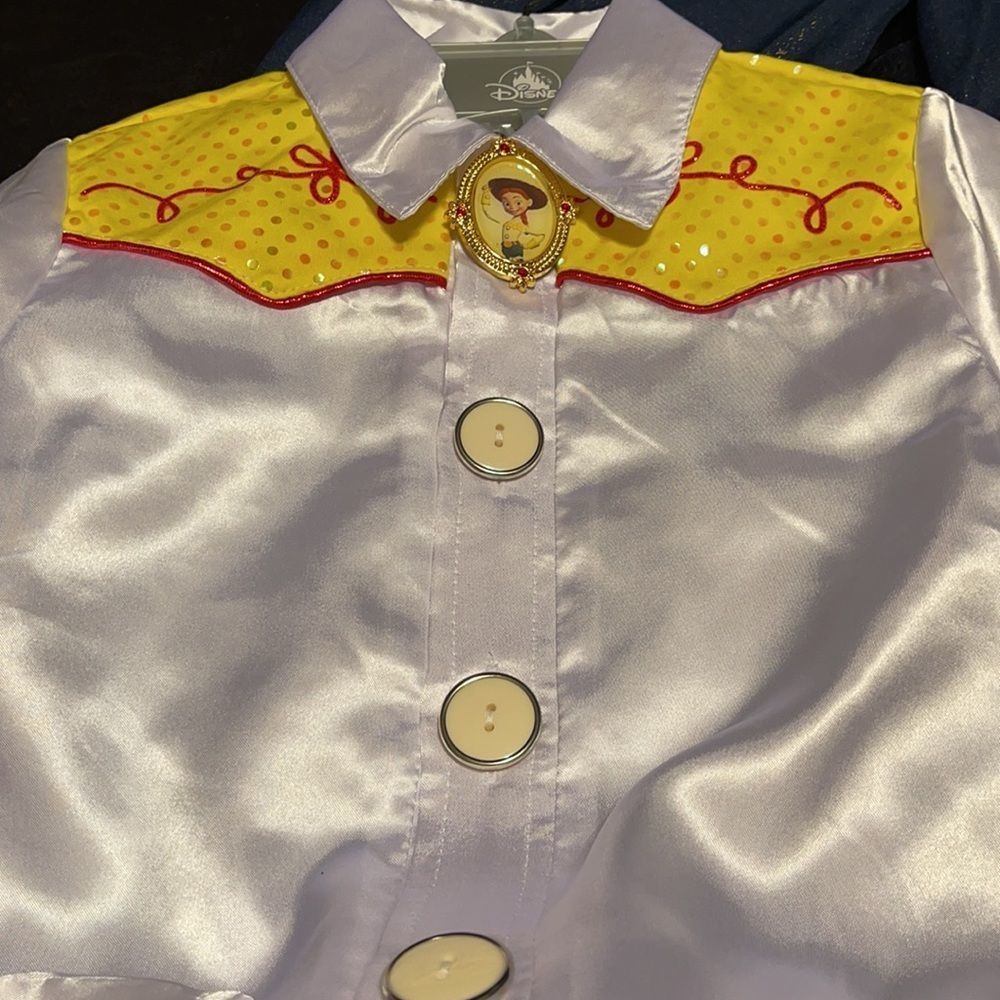 NEW DISNEY Toy 2 Jessie Costume - Picture 8 of 15